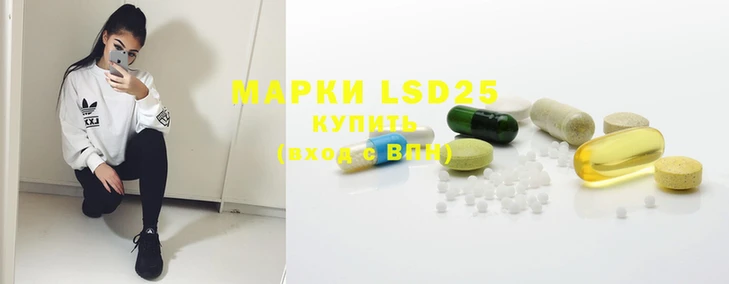 крисы Инта