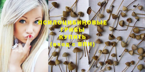 кокаин Каменногорск