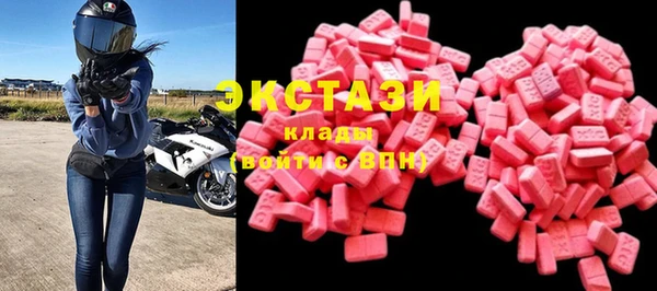 крисы Инта