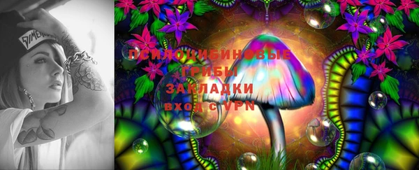 эйфоретик Каменск-Шахтинский