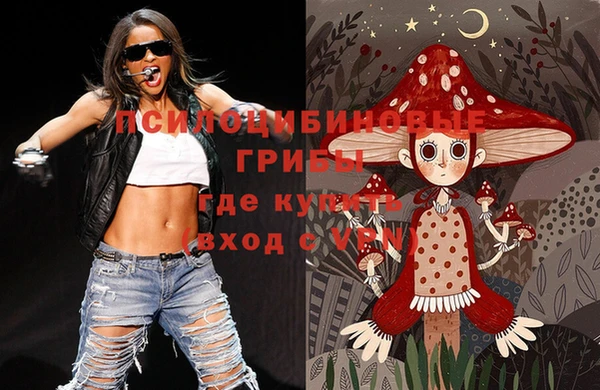 COCAINE Каменка
