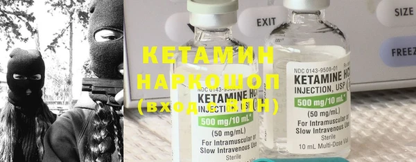 крисы Инта